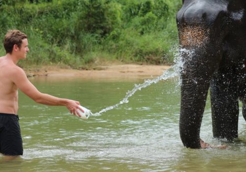 Bathing with elephants and visit to the Turtle Center in Khao Lak