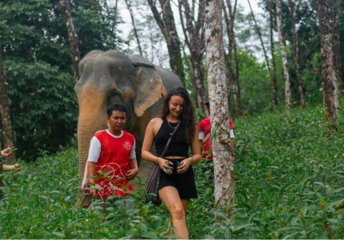 Guide tour elephant sanctuary Khao Lak