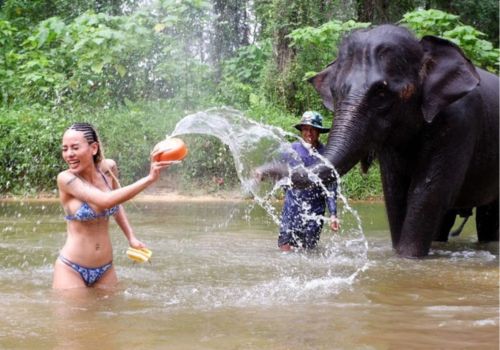 Guided tour of the Elephant Sanctuary in Khao Lak