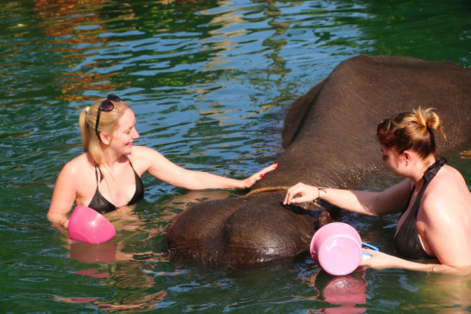 Elephant Bathing and Rafting Khao Lak