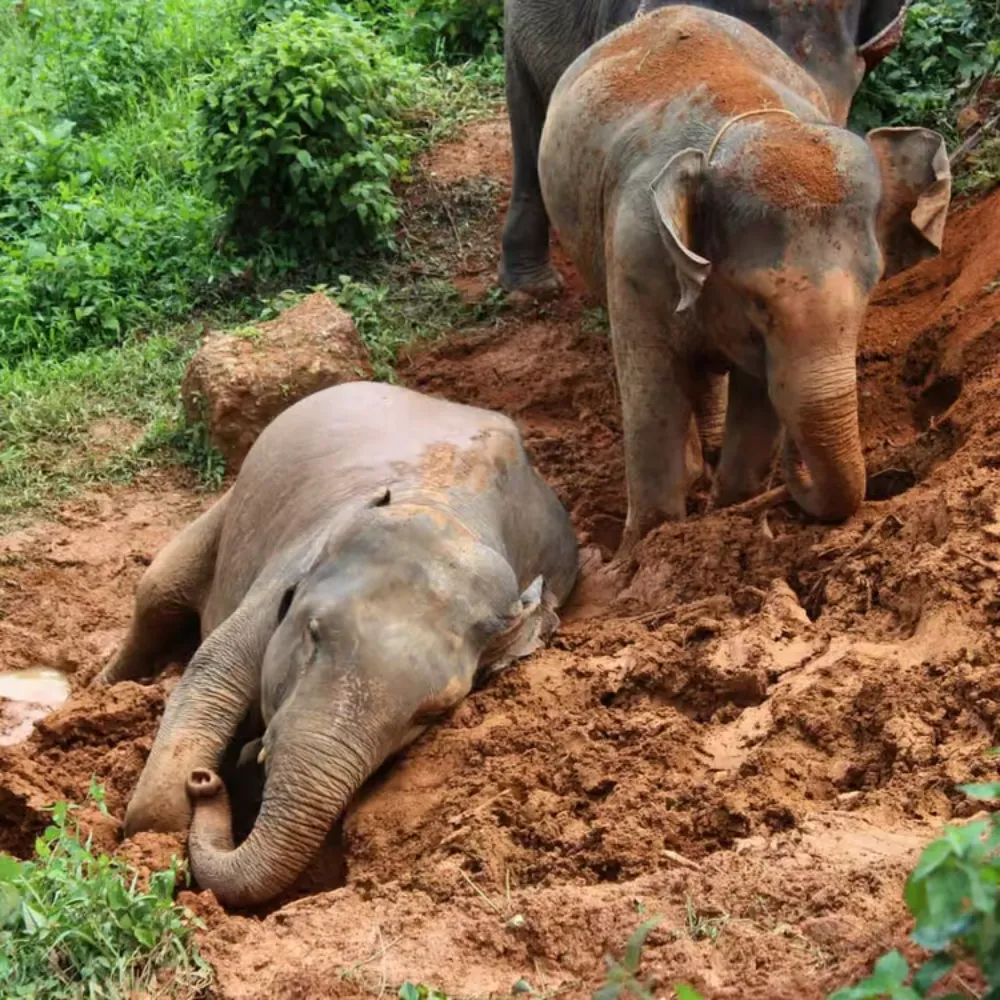 Umgebung des Schutzgebiets